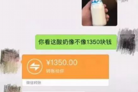 永定专业讨债公司，追讨消失的老赖